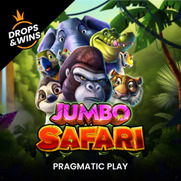 Jumbo Safari